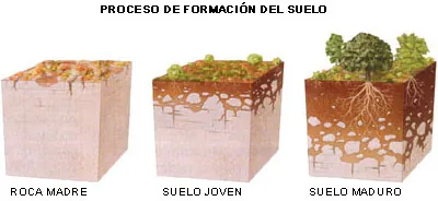 formacion suelo2