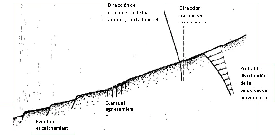 indicadores de desplazamiento