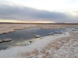 SUELOS DEL SALAR DE LLAMARA